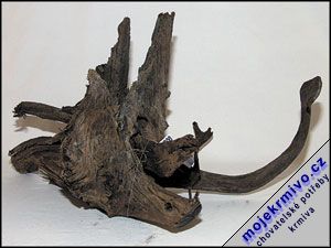 Koen Driftwood Bulk L 1ks