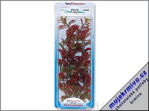 Rostlina Red Ludwigia Plus 15 cm 1ks