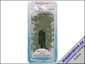 Rostlina Green Cabomba Plus 15 cm 1ks
