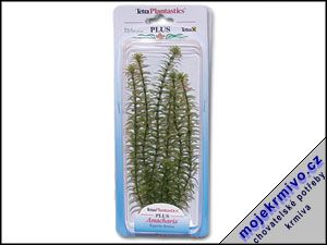 Rostlina Anacharis Plus 23 cm 1ks - Kliknutm na obrzek zavete