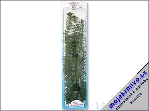 Rostlina Green Cabomba Plus 46 cm 1ks - Kliknutm na obrzek zavete