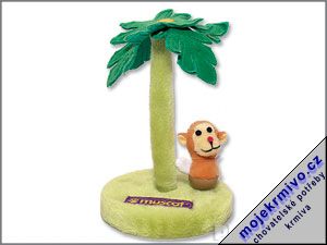 Hraka kokosov palma Cat Springfield 1ks