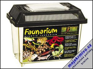 Faunarium mini 1ks - Kliknutm na obrzek zavete