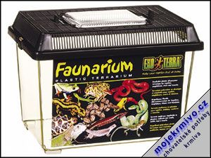 Faunarium mal 1ks - Kliknutm na obrzek zavete
