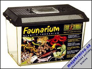 Faunarium stedn 1ks - Kliknutm na obrzek zavete