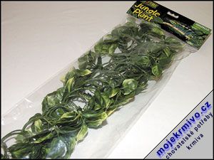 Rostlina Amapallo velk 60 cm 1ks