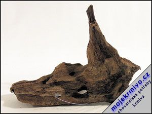 Koen DriftWood Bulk SS 1ks