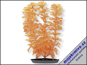 Rostlina Ambulia mořská 38 cm 1ks