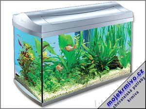 Aquarium Tetra AquaArt 60l