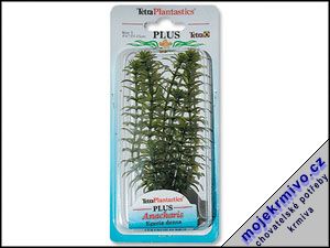 Rostlina Anacharis Plus 15 cm 1ks