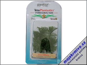 Rostlina Green Cabomba 5 cm 1ks