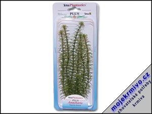 Rostlina Anacharis Plus 23 cm 1ks