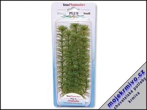 Rostlina Ambulia Plus 23 cm 1ks
