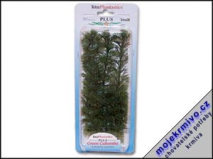 Rostlina Green Cabomba Plus 23 cm 1ks