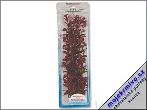 Rostlina Red Ludwigia Plus 38 cm 1ks