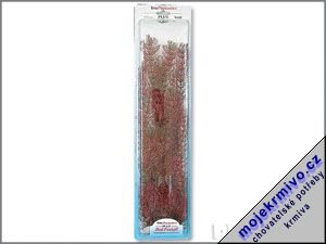 Rostlina Red Foxtail Plus 46 cm 1ks