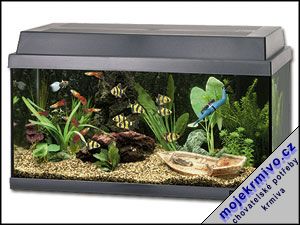 Akvarium Rekord 60 54l