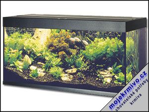 Akvarium Rio 240 ern 240l