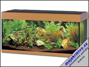 Akvarium Rio 240 buk 240l