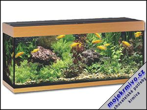 Akvrium Rio 300 buk 300l