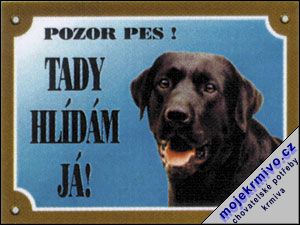 Tabulka labradorsk retriever ern 1ks
