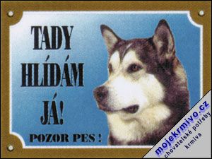 Tabulka malamut 1ks