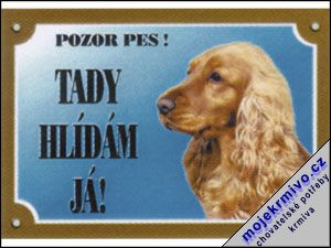 Tabulka kokr anglick zlat 1ks