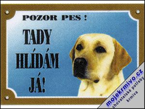 Tabulka labradorsk retriever svtl 1ks