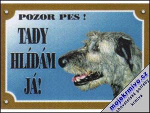 Tabulka irsk vlkodav 1ks