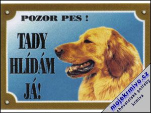 Tabulka zlat retriever 1ks