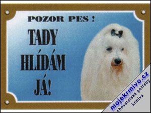 Tabulka maltzsk pin 1ks