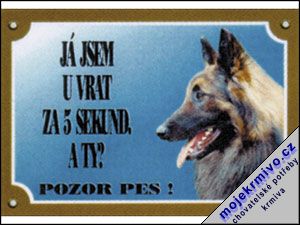 Tabulka tervueren 1ks