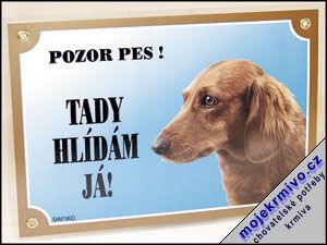 Tabulka jezevk dlouhosrst 1ks