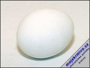 Podkladek pro slepice 1ks