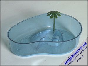 Želvárium plastové s palmou 1ks